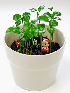 Decorative green ceramic