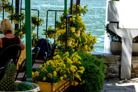 Gita Isola Bella