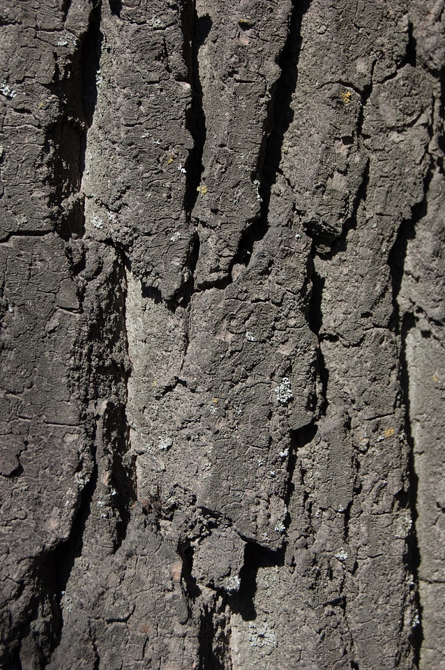 Large texture relief grey