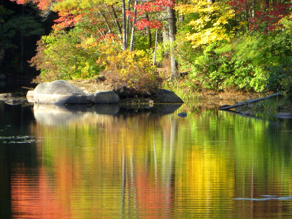 Autumn Lake