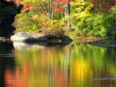 Autumn Lake