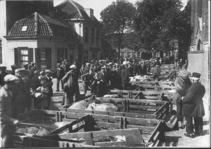 Varkensmarkt op het Jacobskerkhof