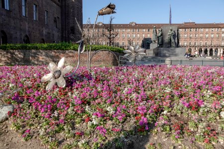 Visita a Palazzo Cisterna e Torino