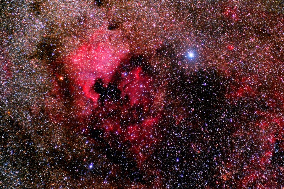 Cygnus Region