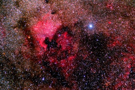 Cygnus Region