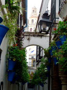 mezkita de cordoba