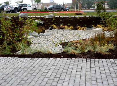 YMCA rain garden & perv pavers