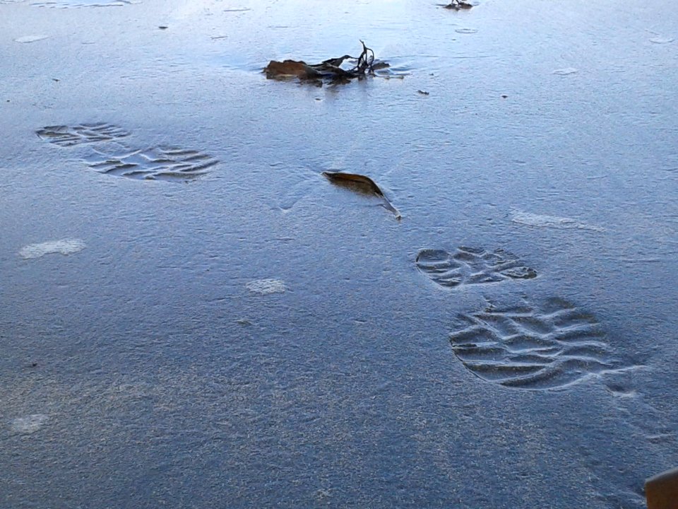 Footsteps on the beach