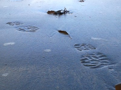 Footsteps on the beach photo