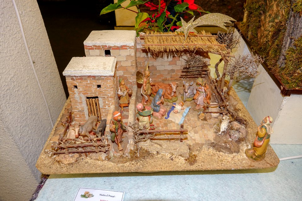 DSC02970