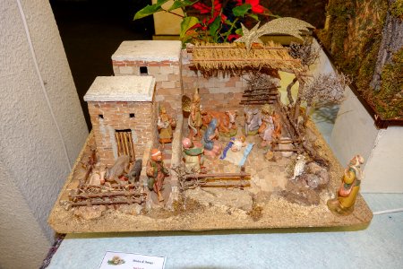 DSC02970