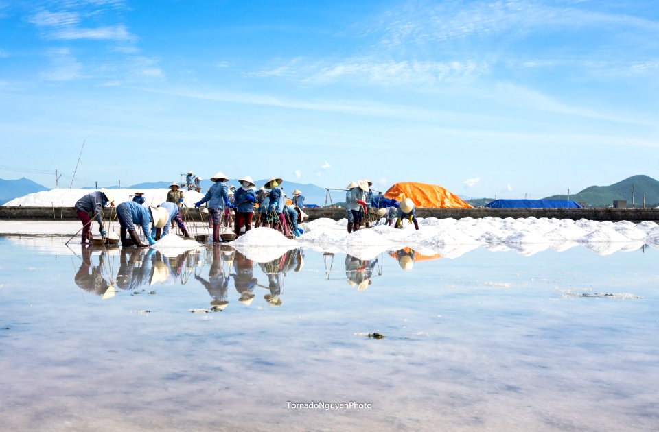 SALT FIELD