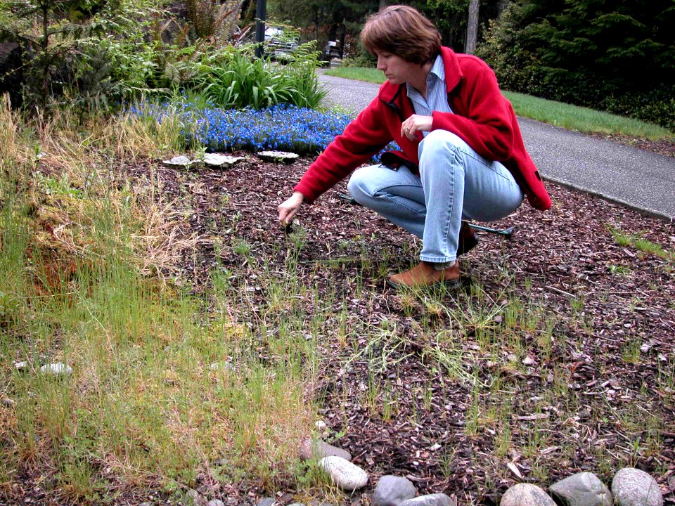 weeding by hand