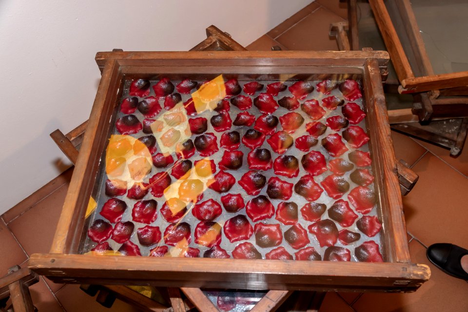 Gita a Montecarlo 06042019