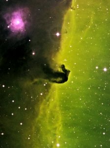B33 - The Horsehead Nebula