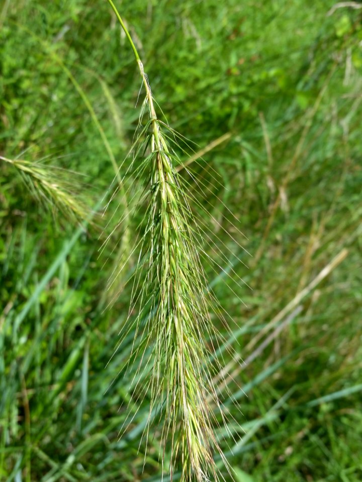 20150627 154250