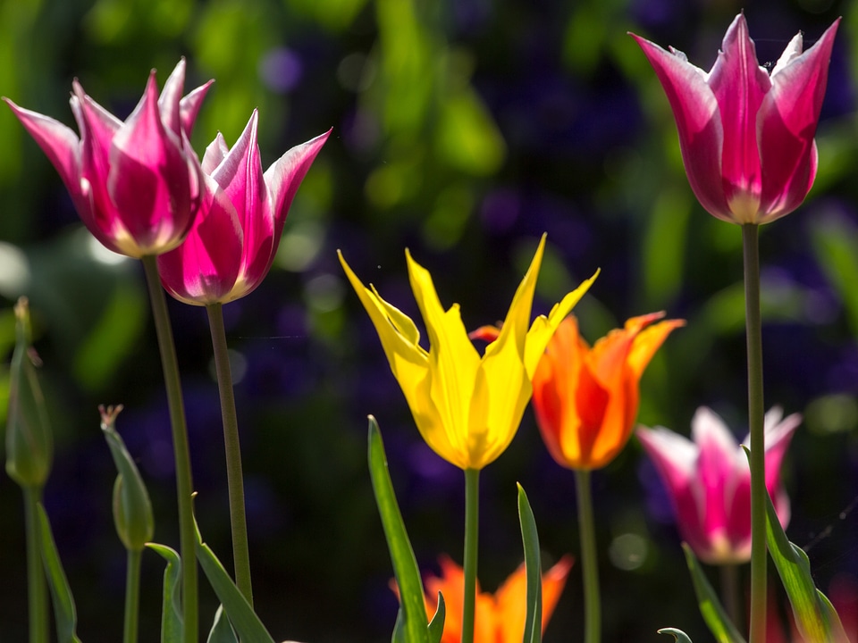Colorful yellow bright