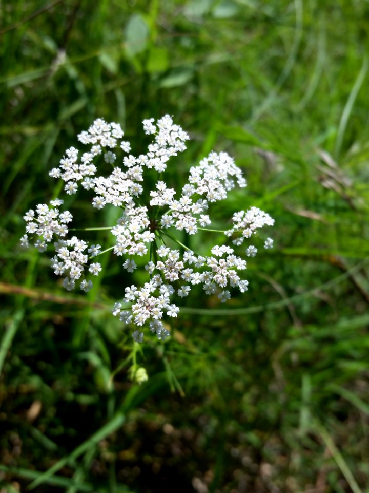 20150627 151145