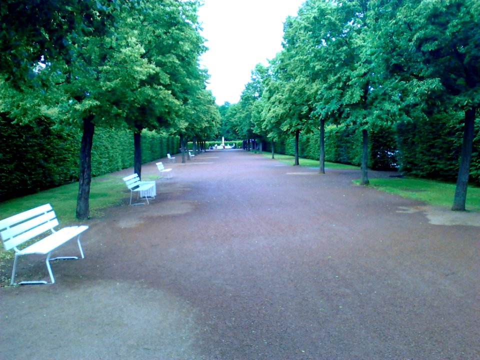 IMG 20150619 173711