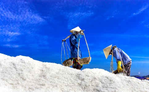 SALT FIELD photo