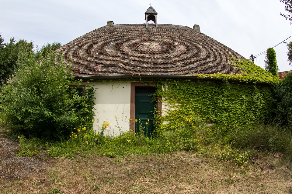 Abandoned idyllic cottage