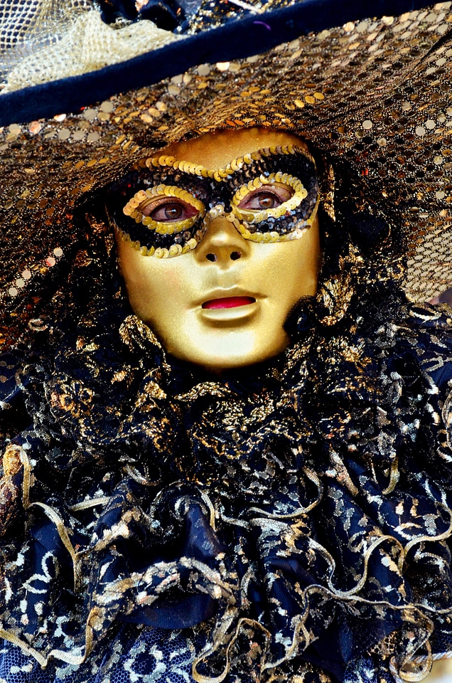 Rosa rose 2015