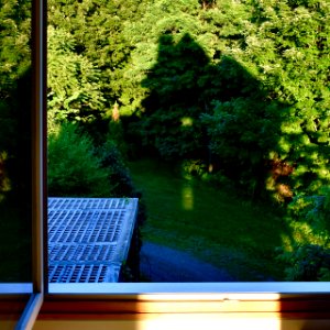 Start and Finish to Longest Day 2017DSC 4552