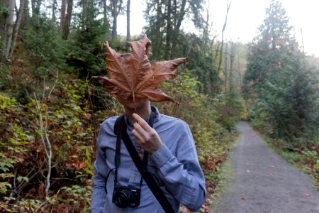 Carkeek 4