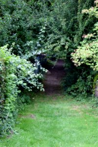 Promenade à Parfondeval et visite de son musée des outils anciens