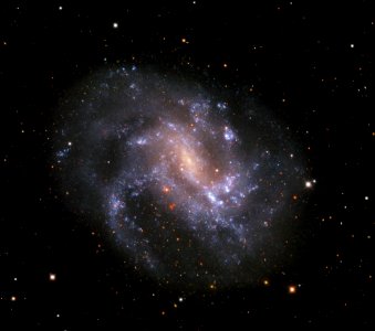 NGC 4395 photo