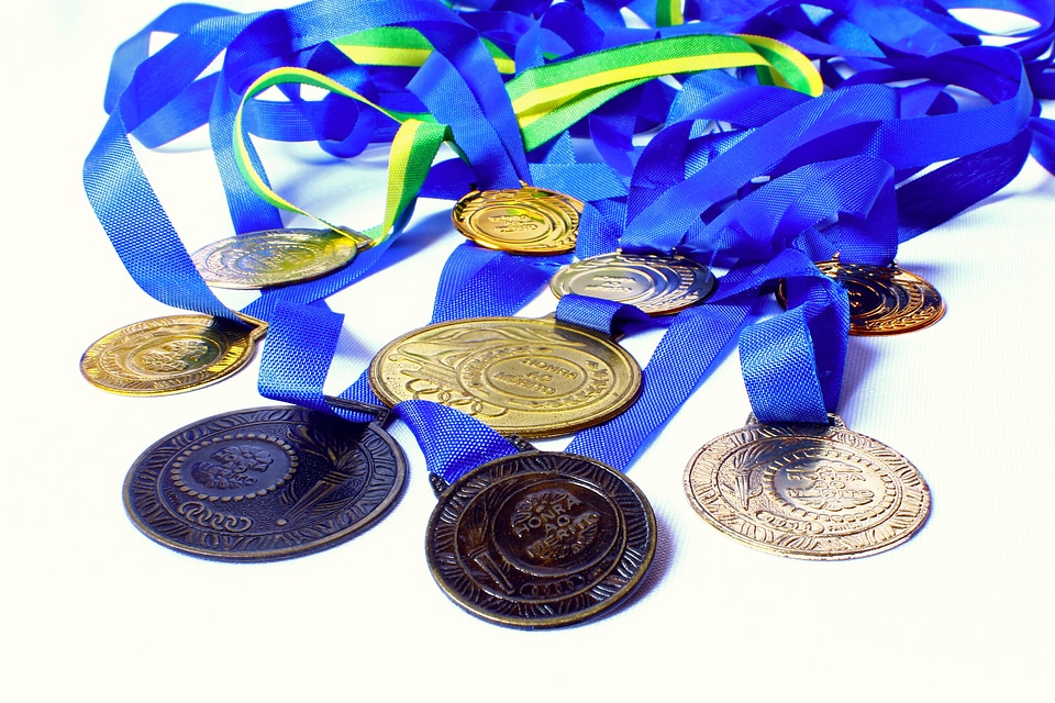 Merit winner champion
