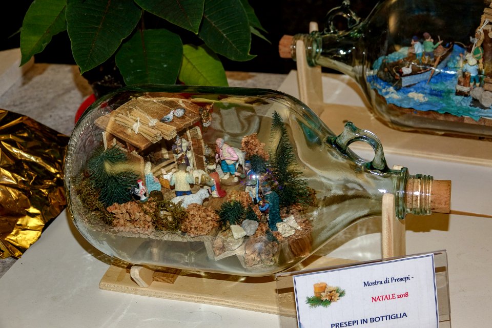 DSC02889