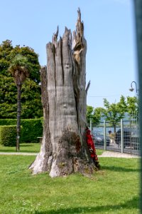 Gita al Lago D'Iseo