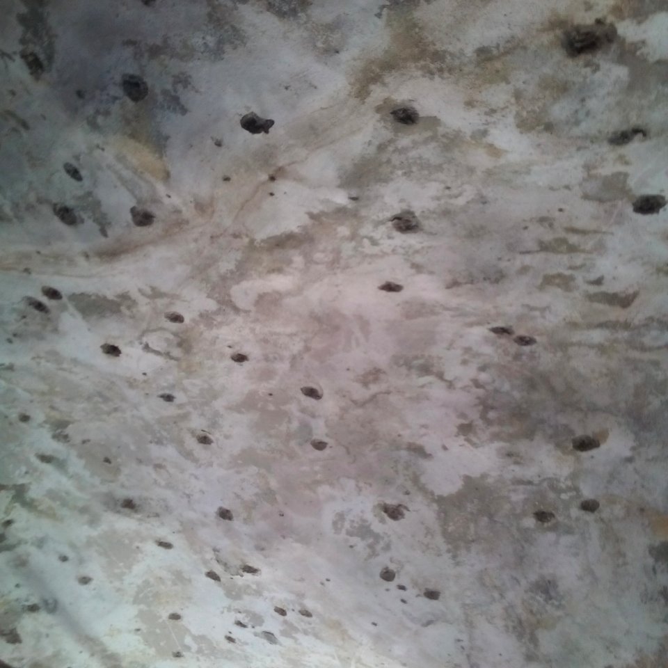 Nablus bullet holes