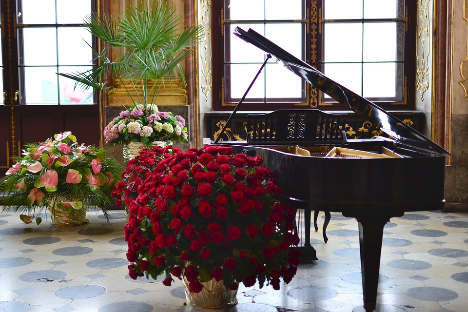 Flowers classical music instrument