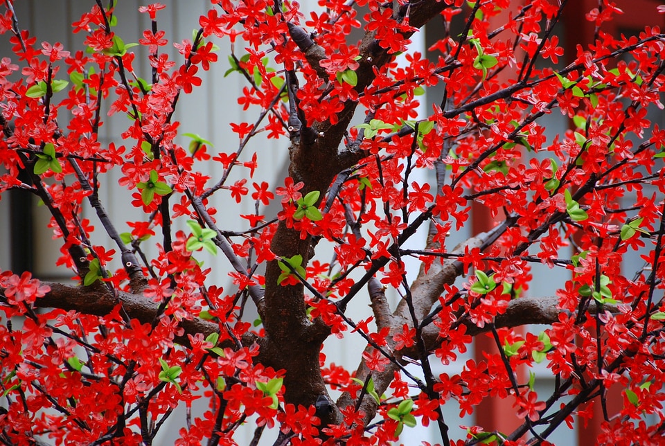 Red artificial nature