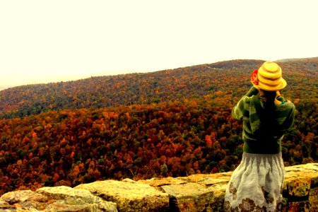 lonely at the top....