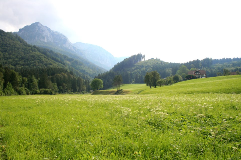 Salzkammergut, Austria   7759
