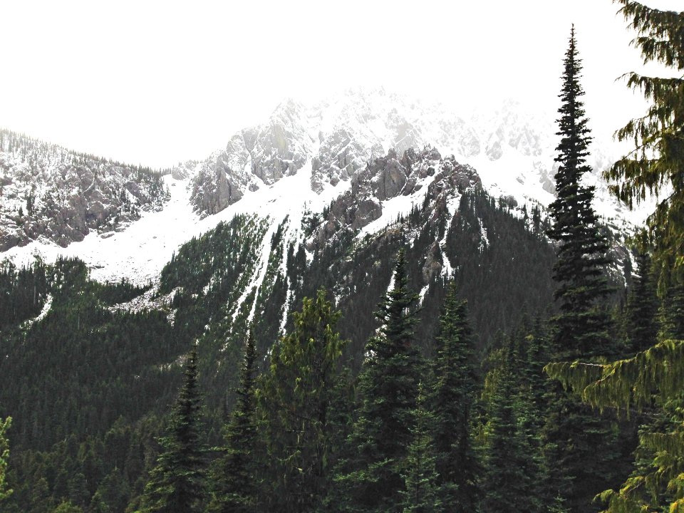 falls view canyon-upper big quilcene-42