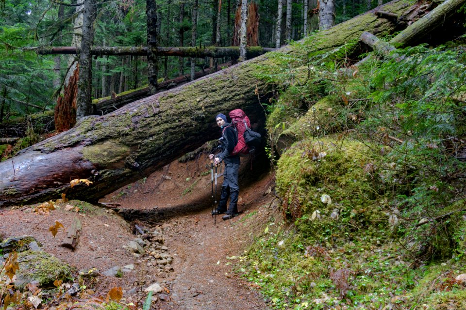 falls view canyon-upper big quilcene 19