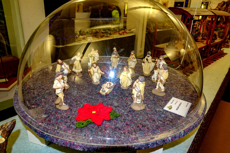 DSC02974