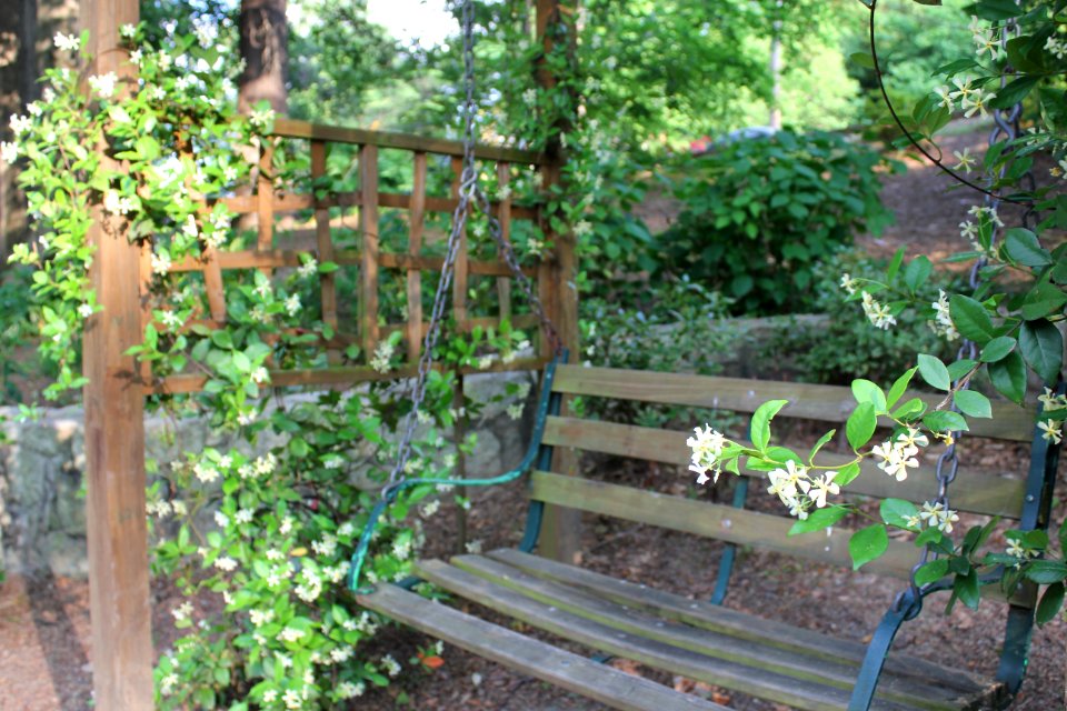 "Flower Trellis and Swing"
