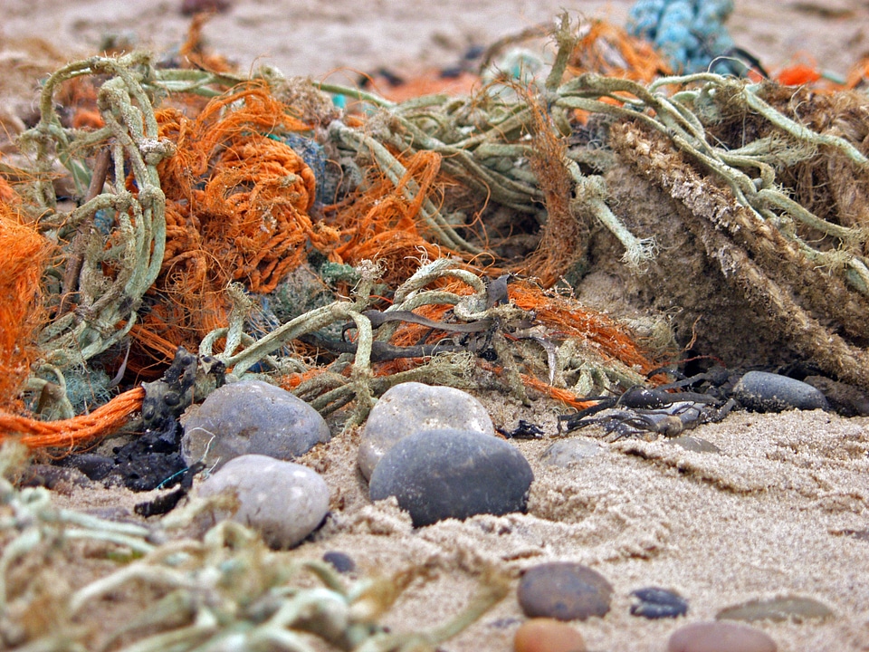 Beach sea landscape