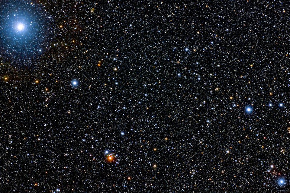 Lyra IMG 0876