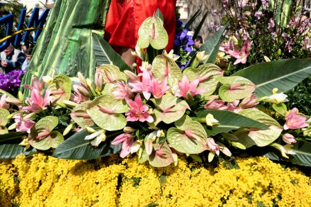P1000806