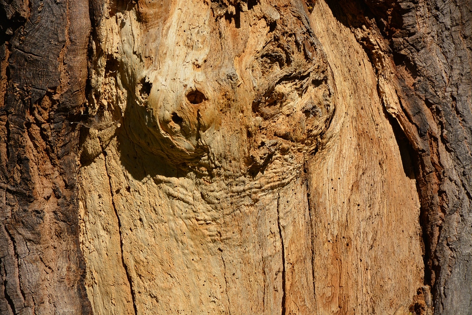 Nature structure grain
