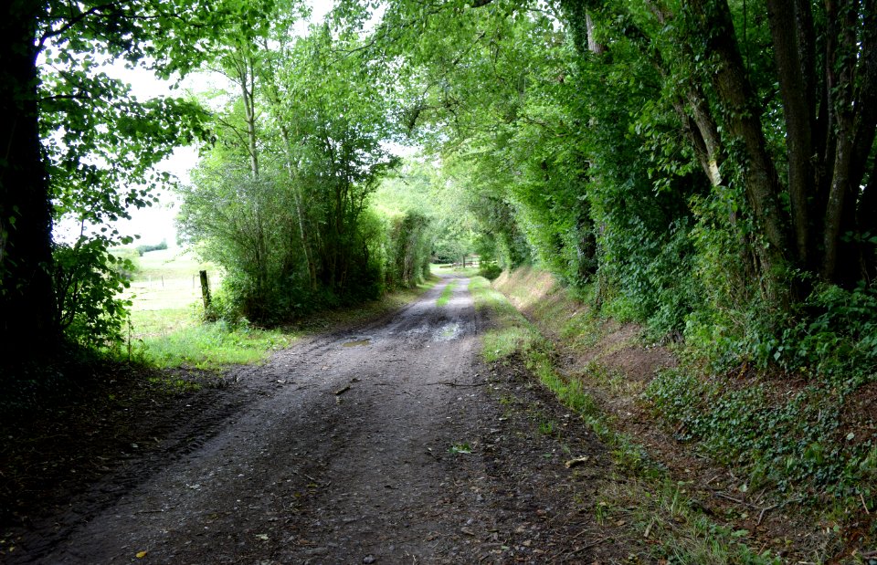 Promenade à Parfondeval et visite de son musée des outils anciens