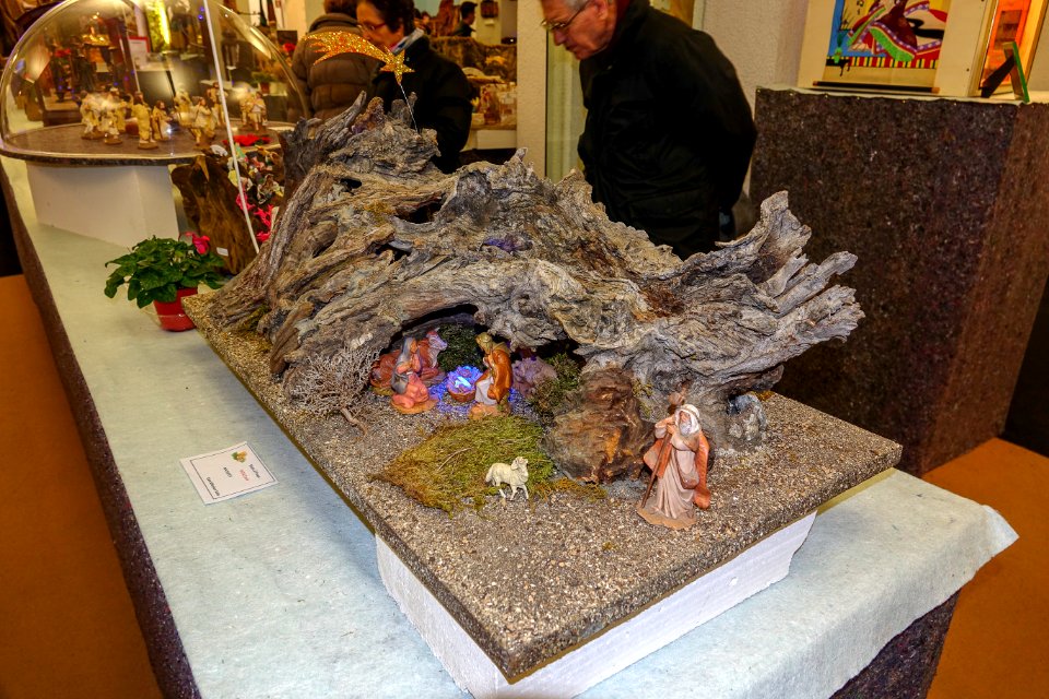 DSC02959
