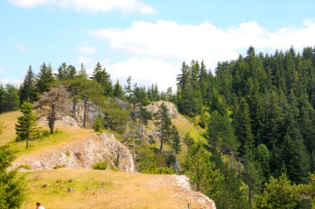 @Вълчи камък