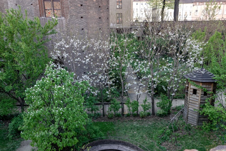 Visita a Palazzo Cisterna e Torino